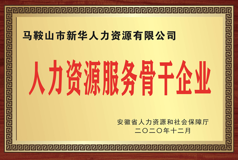 2020年安徽省人力資源服務骨干企業